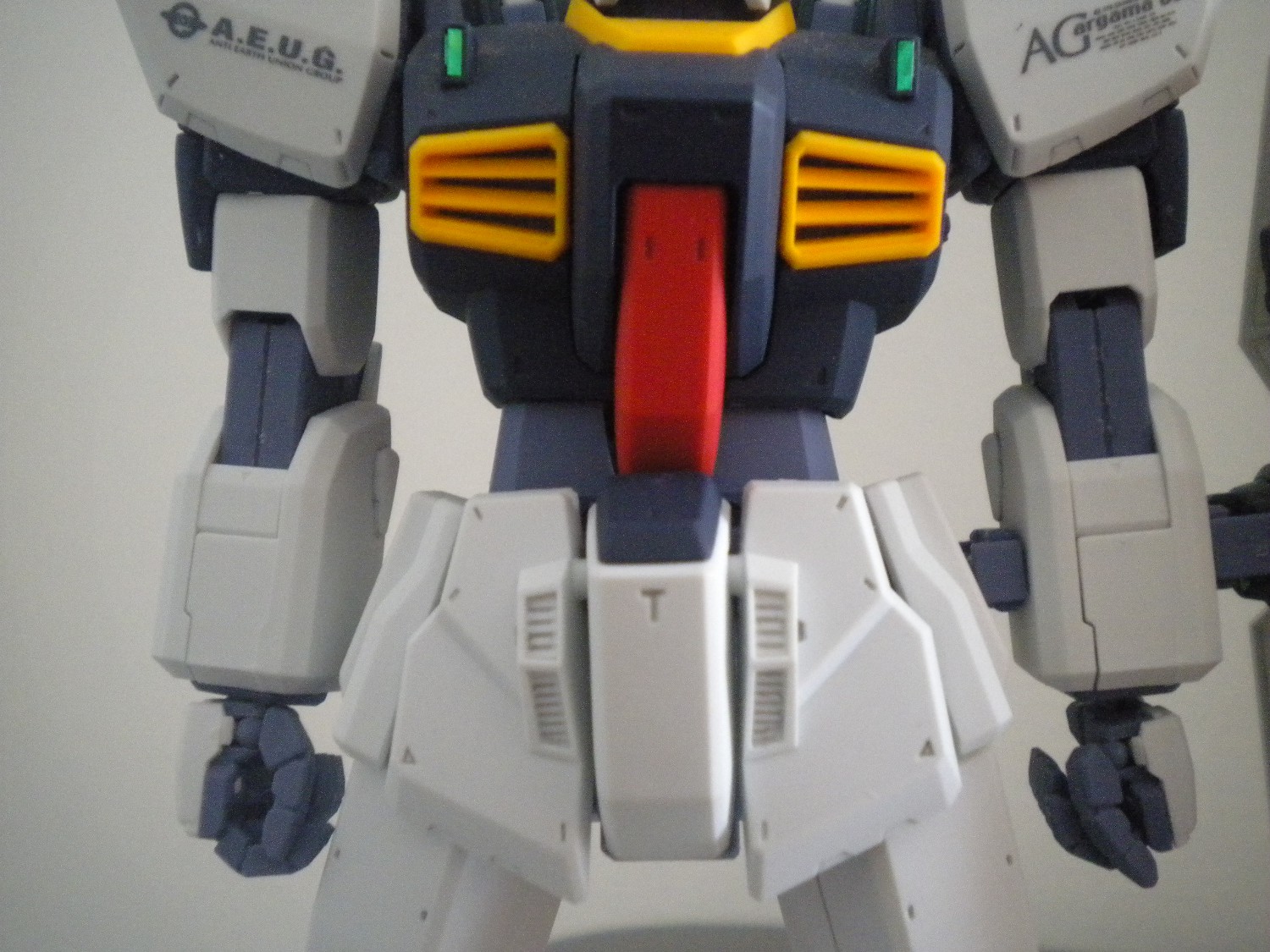 MG腹部